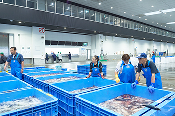 圧倒的な魚種の豊かさを誇る石巻市水産物地方卸売市場。
