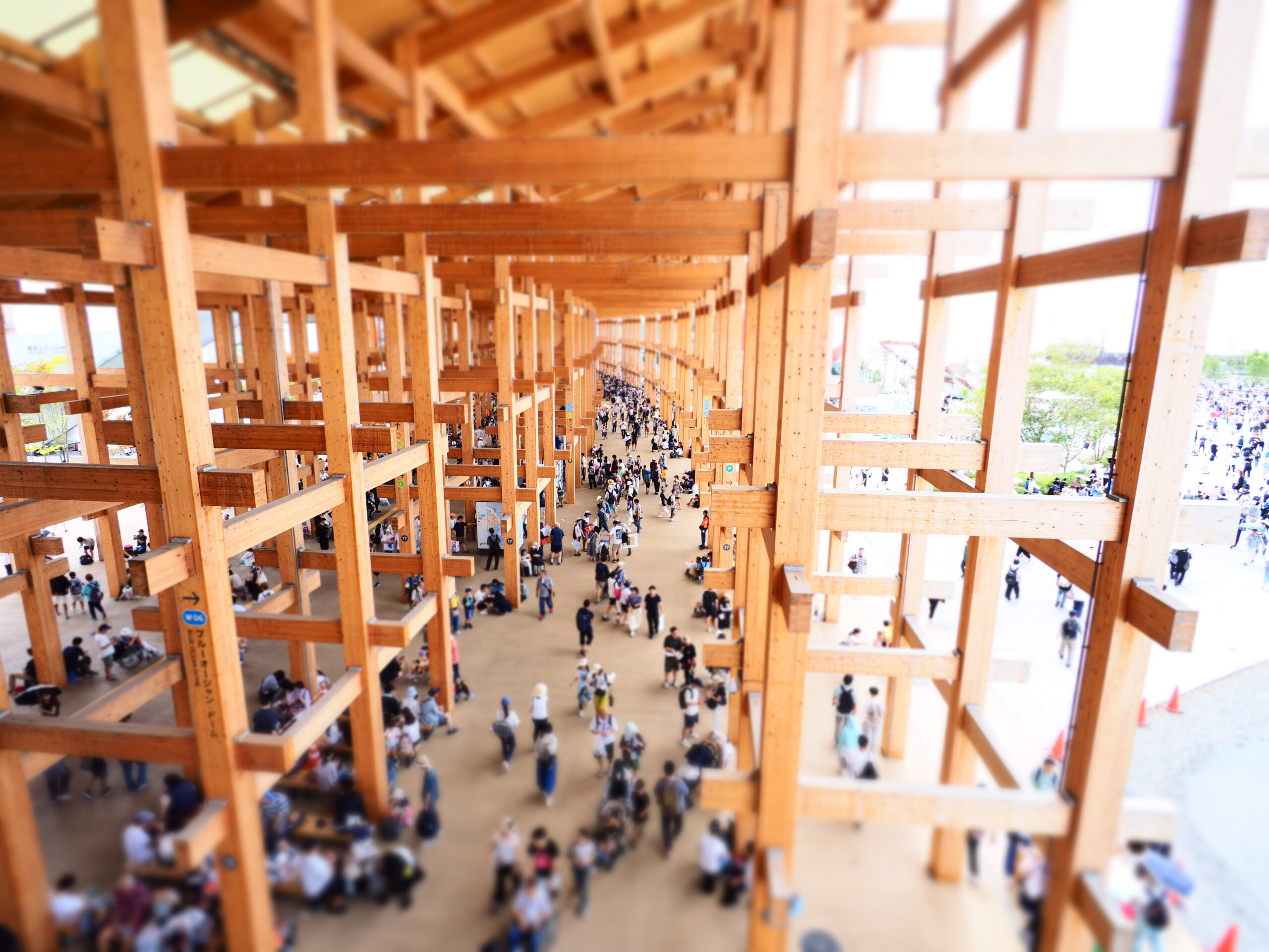 EXPO 2025 大阪・関西万博 会場全体整備 | 実績・事例 | 山下PMC